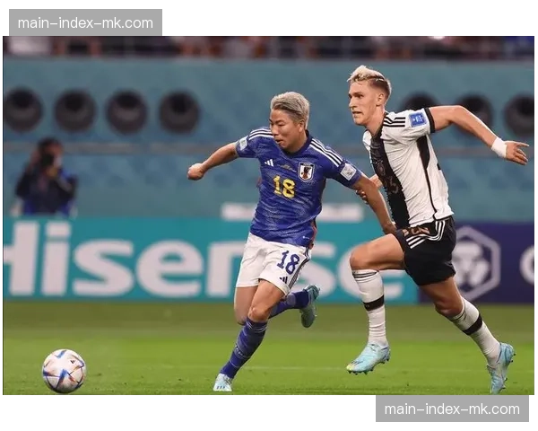 霍芬海姆主帅：谈“无锋阵”与“小快灵”传控如何在德甲生存